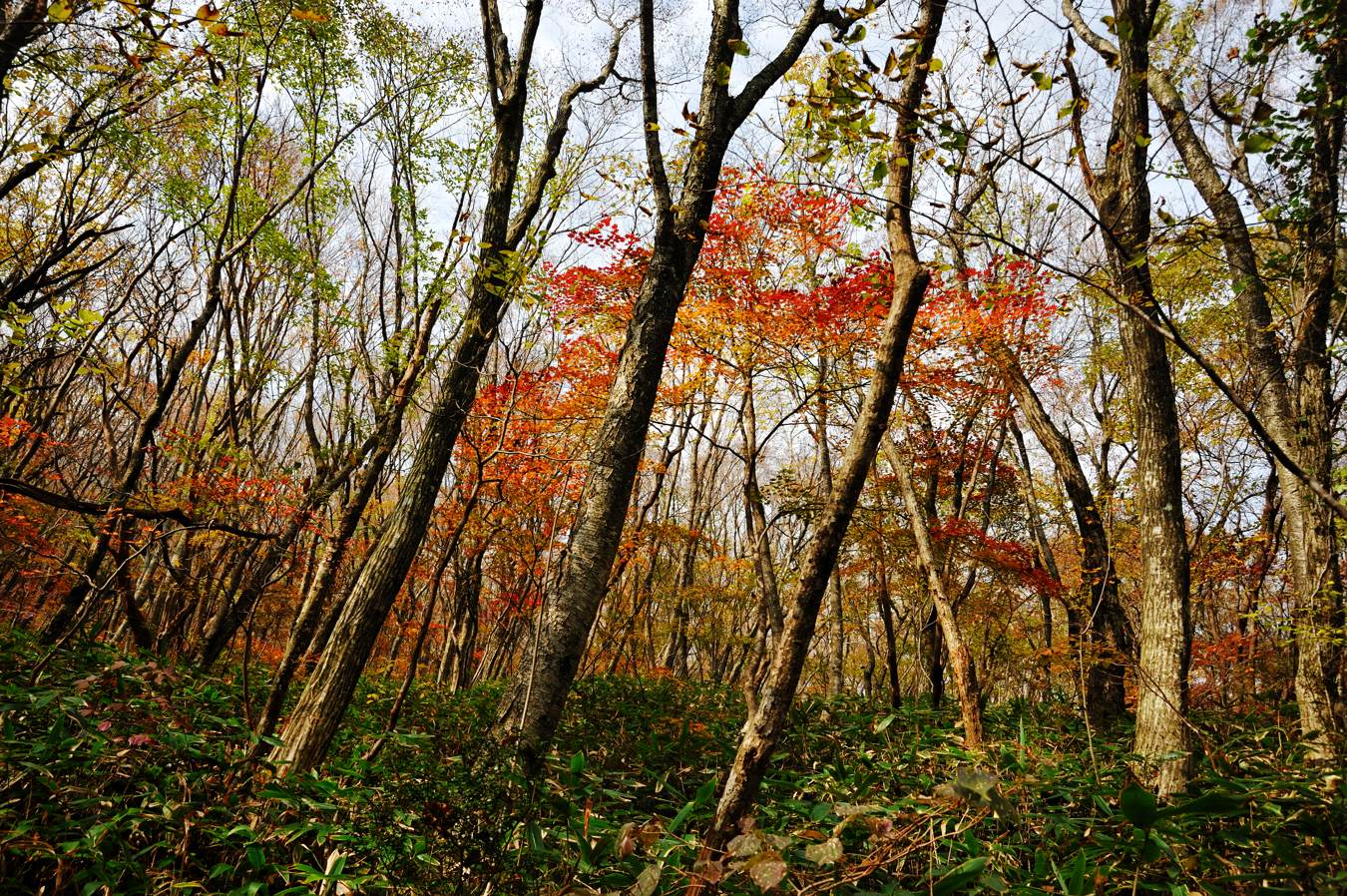 c0138991_2361217.jpg