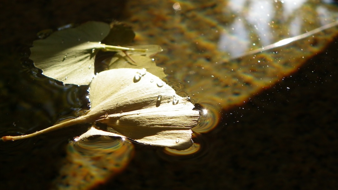 a0207396_15322188.jpg