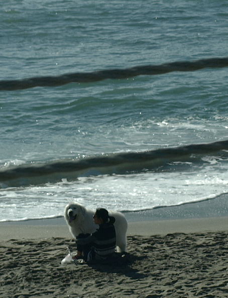 f0153497_2324338.jpg