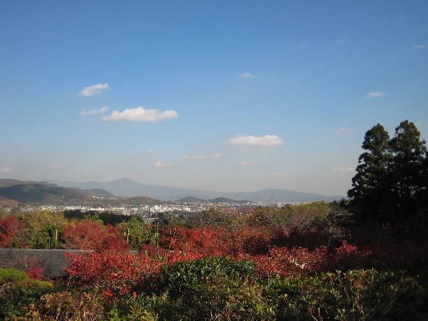d0154609_13161695.jpg