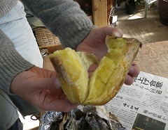 c0190010_2023273.jpg