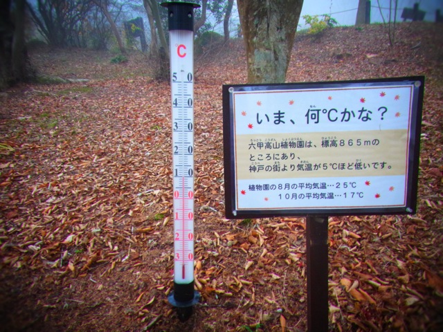 b0183911_10372090.jpg