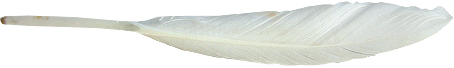 b0179814_18293731.jpg