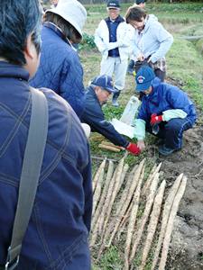e0097615_181345.jpg