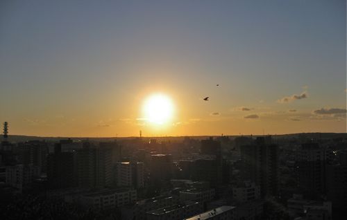 b0226219_197193.jpg