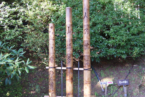 c0020320_20412821.jpg