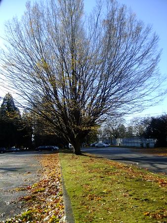 f0111926_14201322.jpg