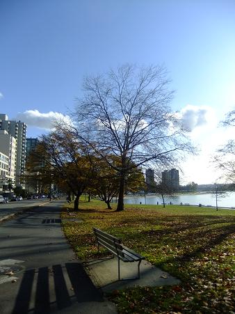 f0111926_14223826.jpg
