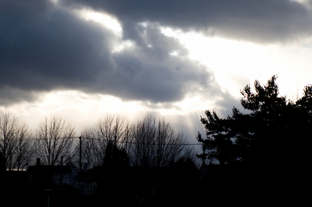c0051132_2141220.jpg