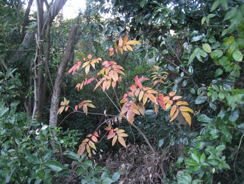 c0134734_0201413.jpg