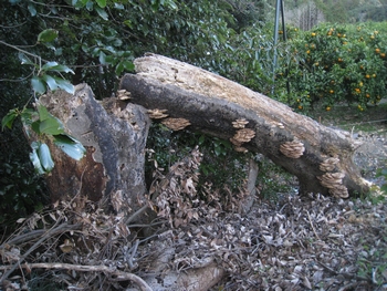 c0134734_021330.jpg