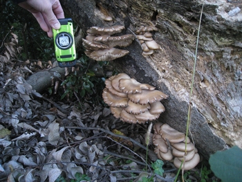 c0134734_021792.jpg