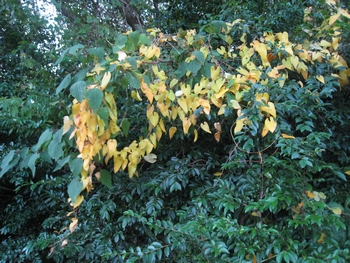 c0134734_0221715.jpg