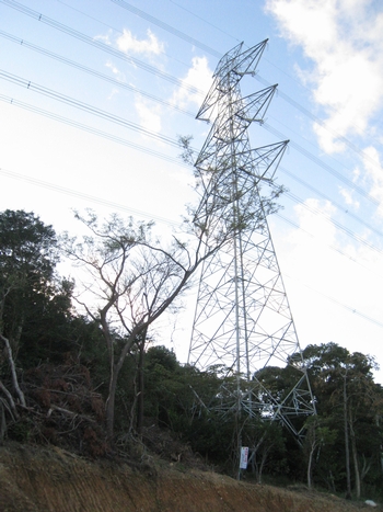 c0134734_028712.jpg