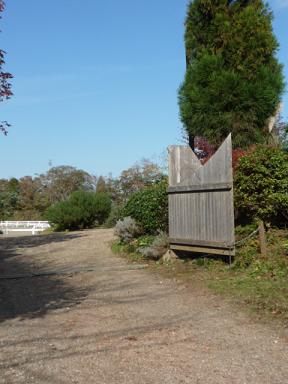 b0182535_23273110.jpg