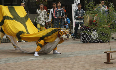 f0147037_1256647.jpg