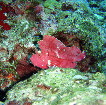 f0014842_17523469.jpg