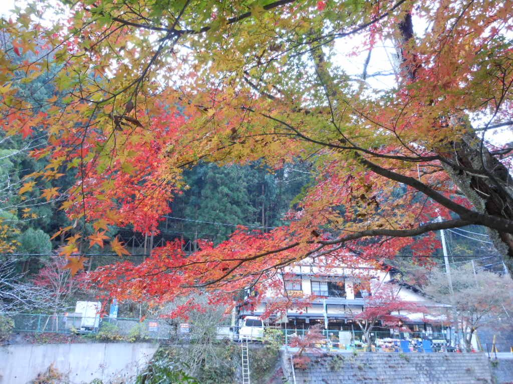 c0122744_2250114.jpg