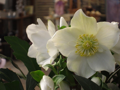 f0220152_1842370.jpg