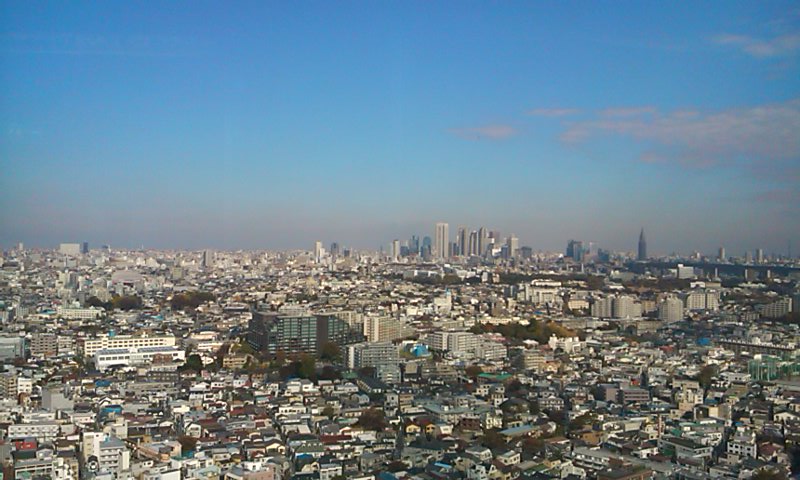 d0158464_131639.jpg