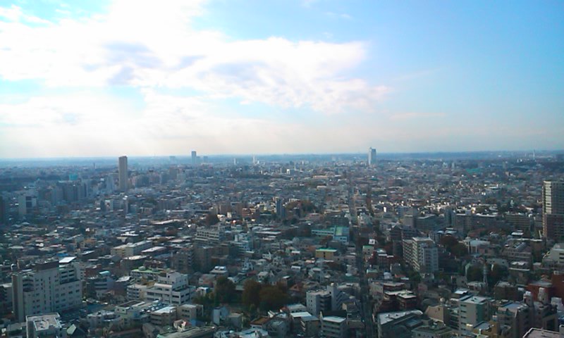 d0158464_1351228.jpg