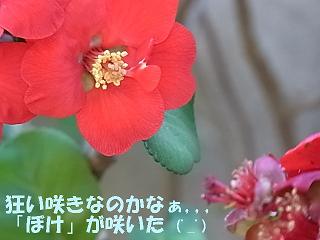 b0185771_14222851.jpg