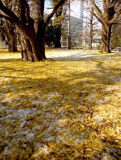 d0084473_21585266.jpg