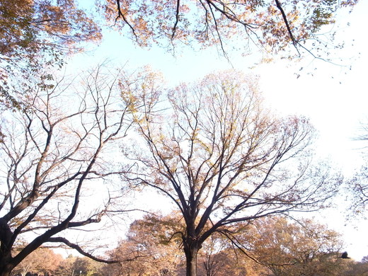 c0083075_15532143.jpg