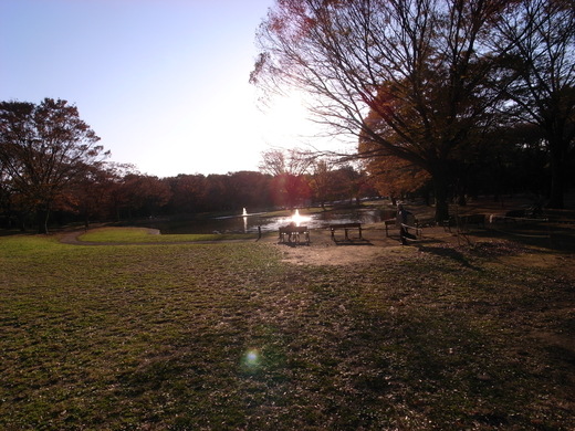 c0083075_1613296.jpg