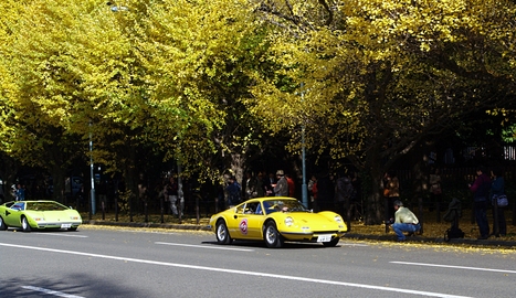 c0023278_2033897.jpg