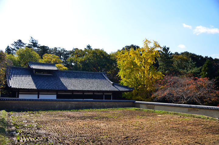f0108478_1944366.jpg