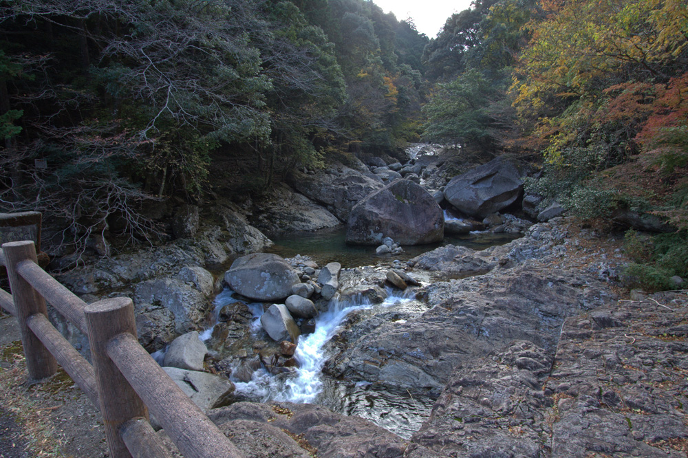 e0164282_461317.jpg