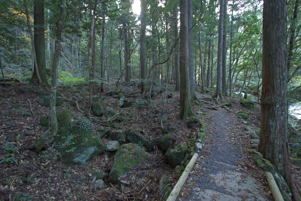 e0164282_465056.jpg