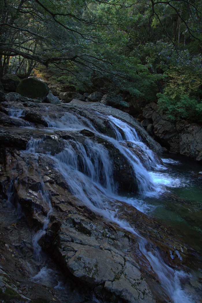 e0164282_465871.jpg