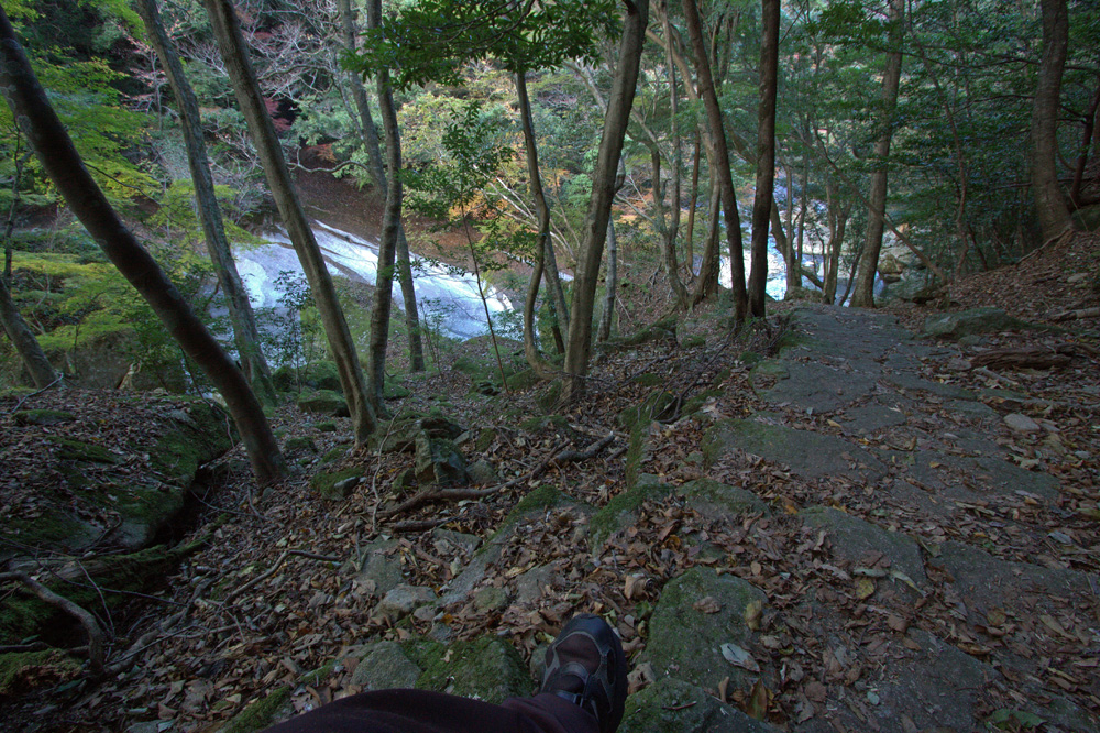 e0164282_472069.jpg