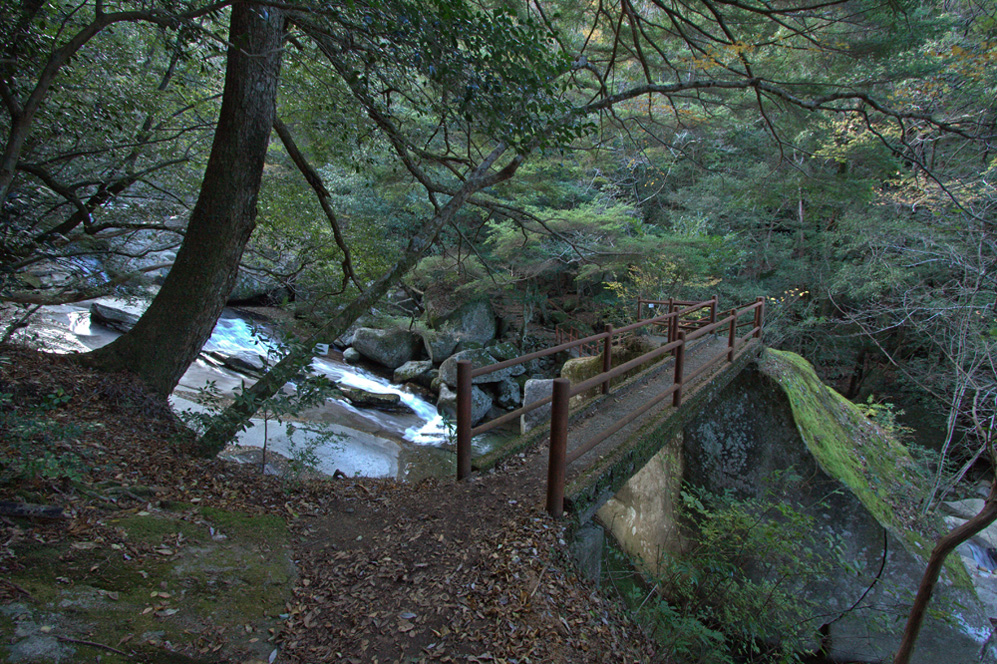 e0164282_473346.jpg