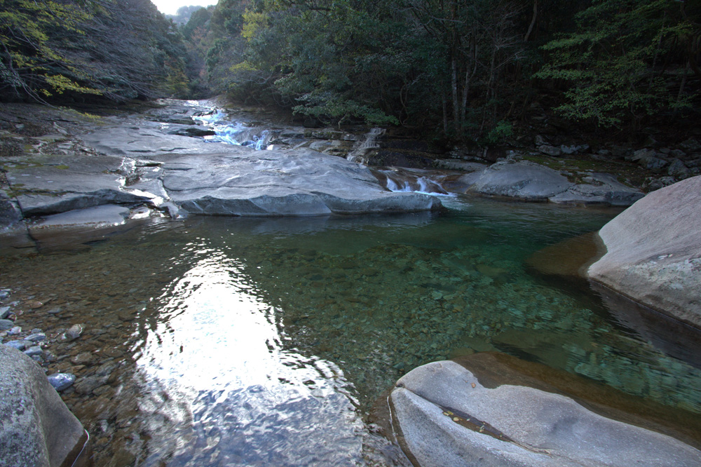 e0164282_47870.jpg