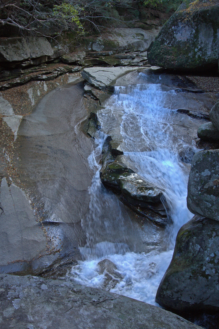 e0164282_484260.jpg