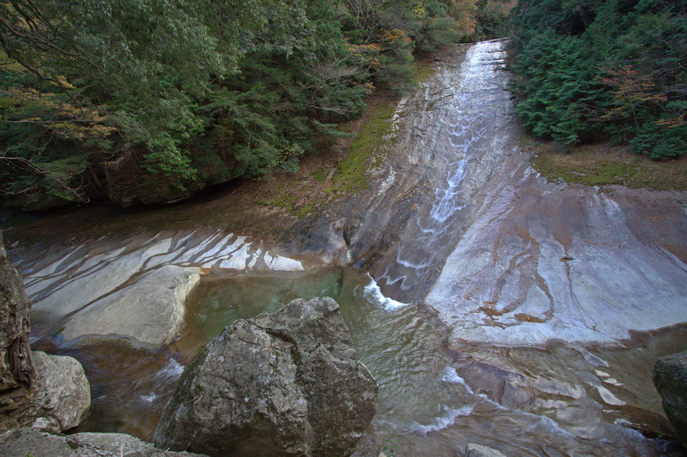 e0164282_491547.jpg