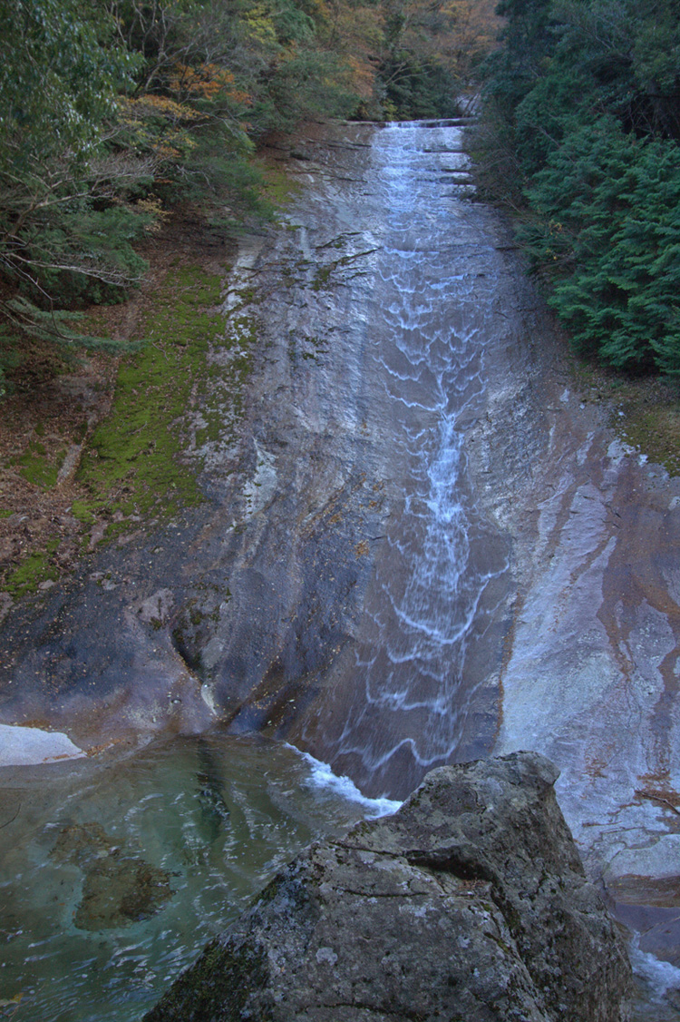 e0164282_492998.jpg