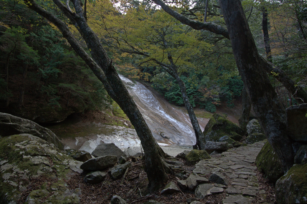 e0164282_49347.jpg