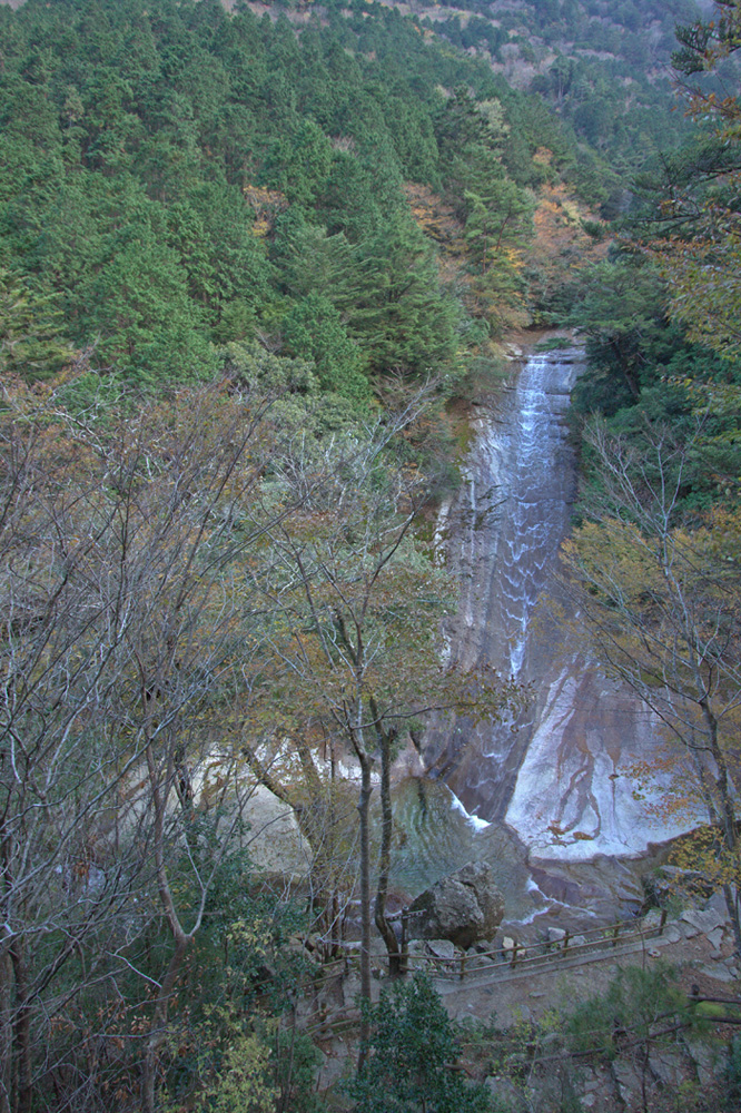 e0164282_494419.jpg