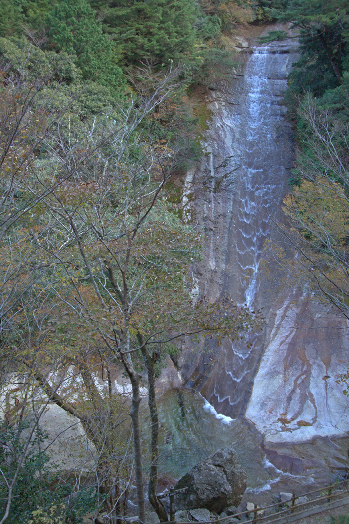 e0164282_495689.jpg