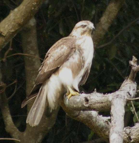 e0197884_2205726.jpg