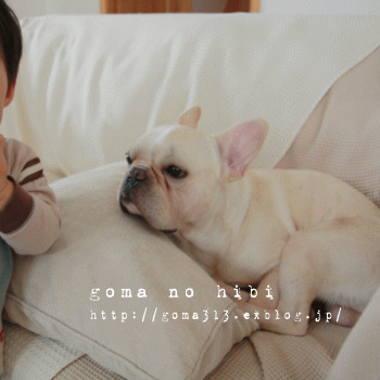 b0180085_2225610.gif