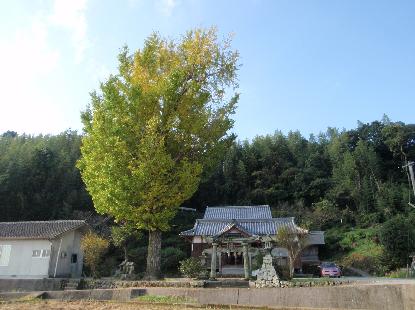 e0077899_435729.jpg
