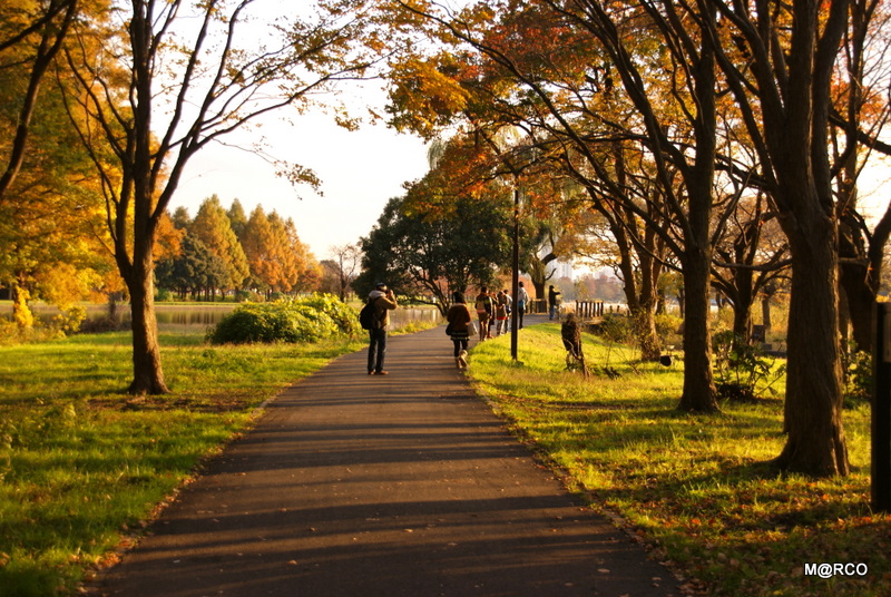 c0037611_2211322.jpg