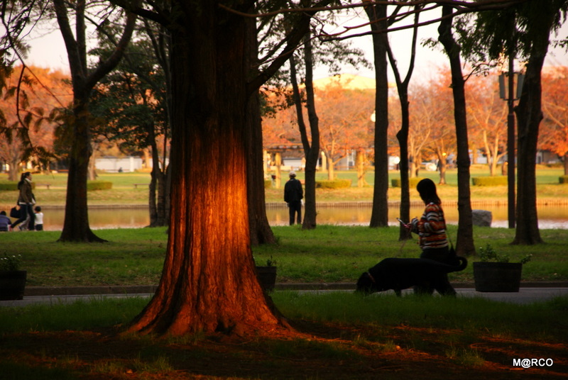 c0037611_2216583.jpg