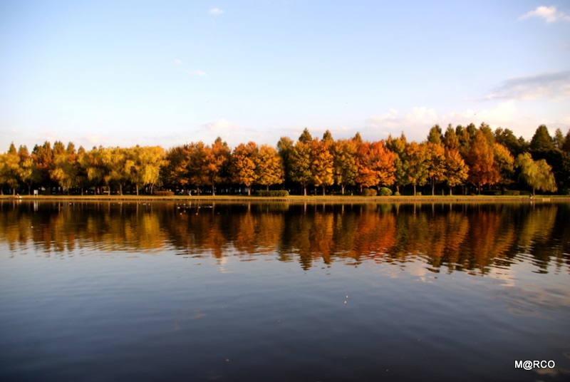 c0037611_22203970.jpg