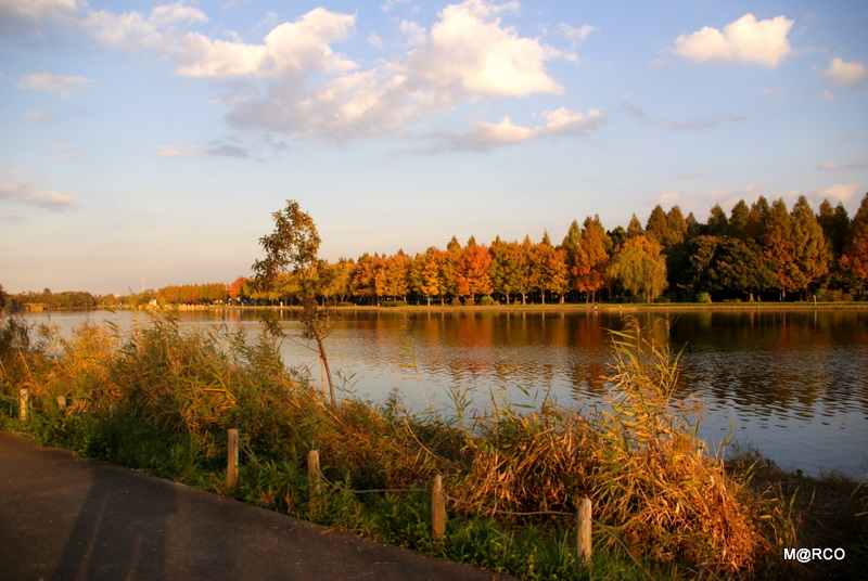 c0037611_22204794.jpg